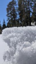 2-3mm surface hoar on top of the Deep Creek ridgeline, around 7800'