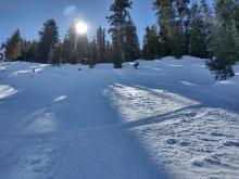 Evidence on NE wind redistribution on N aspect below treeline opening around 7,800. This was on the bottom third of the slope, well below the ridgetop.