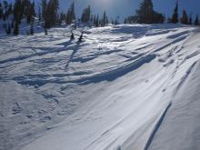 We affected snow surface on open near treeline N aspect.