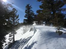 Strong wind on small south facing cornice.