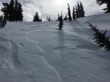 Wind affected snow below treeline