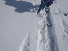 Minor storm slab cracking noted on the approach. Failure on plate snow crystals within the lower portion of the new snow.