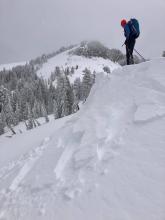 1 to 2 ft deep wind slab failure triggered by ski kick on this test slope.