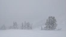 Blowing snow and low visibility along the Castle/Basin Ridge