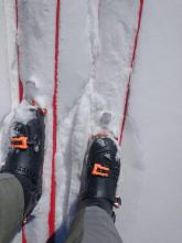 Breakable melt-freeze crust on flat terrain at 9,000' at 9:50am.