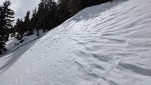 Wind affected snow surfaces in open areas in near and above treeline terrain