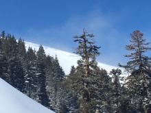 Natural loose dry sluffing below cornice