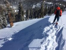 Cornice kicks released loose dry sluffing within the new storm snow with no propagation.