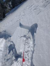 Minor wind slab on E aspect at treeline.