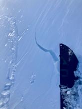 Cracking in freshly formed wind slab on SW gully feature