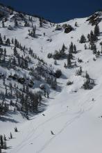 Skier triggered slide from yesterday in main gully. This is a frequent slide and the debris ran nearly the full length. 