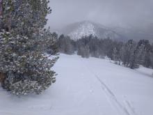 As we approached treeline, our tracks in the new snow became more shallow with NE wind scouring.