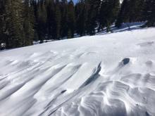 Wind scouring in below treeline terrain