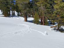 Pinwheel triggered by ski turn on E aspect at about 8,300'.