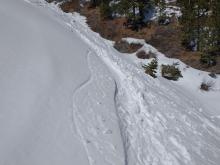 Surface wet snow on moderate slope angle N aspect at about 8,000'