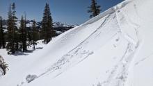 Loose wet activity under ski cut on test slope, East aspect around 7700' at 11:30am 