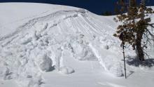 Loose wet activity under ski cut on test slope, East aspect around 7700' at 11:30am. Pole is 130cm. 