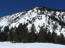 SE/E side of Incline Peak with decreasing snow coverage