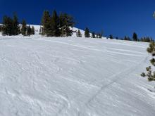 Old wind effected snow that was softening.