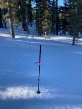 Solid frozen surface conditions at 8am in an opening of trees at 8700 feet.