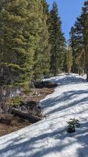 Snowpack melting out at lower elevations