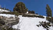 This slope was snow covered 1 week ago.