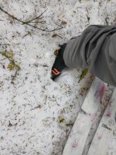 9:10 am, poor snow surface refreeze under heavy forest canopy.