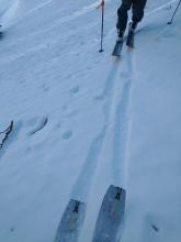 Transitional snow on shaded N aspect, thin melt-freeze crust over dry snow.