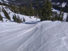 Loose wet debris, likely 1-2 days old where the tree shadows are across the gully.