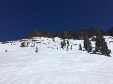 Thin snow coverage on S side of Castle Peak