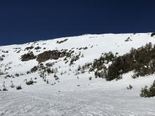 View of Relay Peak. Still adequate coverage along Relay Ridge.