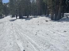 Dirty snow, loose debris, and rocks in the common riding routes starting to show.