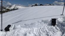 Small, shallow wind drifted snow on a W aspect near the summit of Andesite