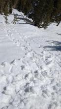 Small skier triggered roller balls on an E facing slope near the summit of Rubicon Peak