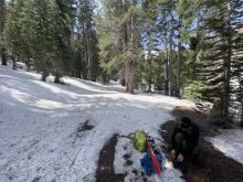 Patchy snow coverage starting at around 8000’ where we transitioned from hiking to skinning 