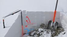 A quick test pit on an E facing slope at 8650 ft.