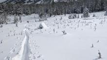 Numerous bushes, rocks, and other obstacles poking through the snow.