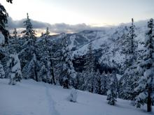 Deep unconsolidated snow below tree line