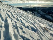 Wind effect on ridge above tree line