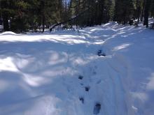 Free water at the base of the snowpack along the Castle Rd.