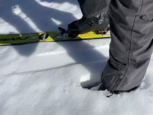 Ski and foot pen in an open area