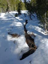 Creeks in this area are a mix of open and covered.