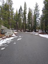 Castle Rd at the gate. 2 feet of snow here a week ago.