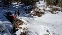 Lots of exposed bushes, areas of dirt, and creeks 