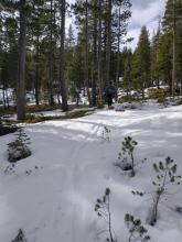 Patchy snowcover on the transition from NE to E aspects around 7,800'