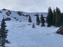 Looking up to crown line