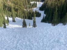 Looking downslope, avalanche ran 400'.