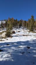 Patchy snow cover existed on the north aspects below 9000 ft with dirt on other aspects.