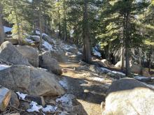 Mixed trail of snow and dirt.