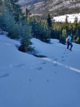 Foot punch through surface rain crust into facets on shaded WNW aspect at around 8,400'.